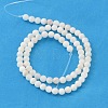 Natural Shell Beads Strands X-PRS001Y-2