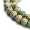 Natural Peruvian Turquoise(Jasper) Beads Strands G-Z062-A01-01-4