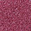 MIYUKI Delica Beads SEED-X0054-DB1338-3