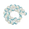 UV Plating Handmade Lampwork Beads LAMP-R004-03E-1