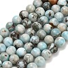 Natural Larimar Beads Strands G-L642-B19-6mm-2