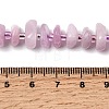 Natural Kunzite Beads Strands G-L649-C04-01-5