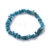 Natural Apatite Chip Beaded Stretch Bracelets BJEW-JB10868-01-1