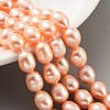 Natural Cultured Freshwater Pearl Beads Strands PEAR-P062-17A-2