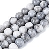Opaque Ombre Effect Dyed Glass Beads Strands GLAA-Q106-04A-02-1