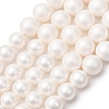 Electroplated Shell Pearl Graduated Beads Strands SH-CBA8E5B-02-1