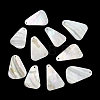 Dyed Natural Shell Pendants SHEL-C010-13B-1