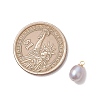 Natural Cultured Freshwater Pearl Rice Charms PALLOY-JF05078-01-2
