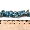 Natural Apatite Beads Strands G-I283-F23-5