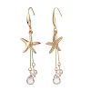 Starfish/Sea Stars 304 Stainless Steel Dangle Earring EJEW-TA00037-2