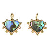 Synthetic Abalone Shell/Paua Shell Charms KK-N233-216-2