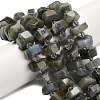 Natural Labradorite Beads Strands G-L642-H05-01-1