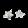 Natural Quartz Crystal Pendants G-H353-01G-02-2