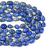 Natural Lapis Lazuli Beads Strands G-G453-D11-01-5