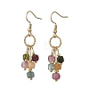 Natural Multicolor Tourmaline  Beads Tassel Dangle Earrings. with 304 Stainless Steel Earring Hooks EJEW-JE07340-3