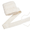 Cotton Tassel Lace Ribbon OCOR-WH0105-197A-1