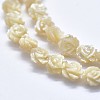 Shell Bead Strands SSHEL-P015-01B-6mm-3