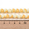 Baking Paint Glass Beads Strands DGLA-N012-8mm-03-4