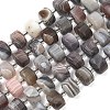 Natural Botswana Agate Beads Strands G-G453-G10-7x12mm-2