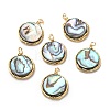 Natural Abalone Shell/Paua Shell Pendants G-K341-16G-1