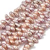 Natural Cultured Freshwater Pearl Beads Strands PEAR-I007-04A-01B-2