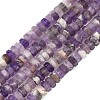 Natural Amethyst Beads Strands G-L654-I03-01-2