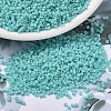 MIYUKI Delica Beads SEED-X0054-DB1586-1