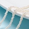 Natural Cultured Freshwater Pearl Beads Strands PEAR-I004-07A-6