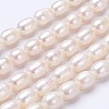 Natural Cultured Freshwater Pearl Beads Strands PEAR-P002-13-01-1