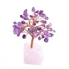 Natural Amethyst Sculpture Display Decorations PW-WGC5A46-11-1