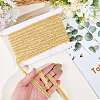 20 Yards Polyester Braided Lace Ribbon OCOR-DR0001-29A-3