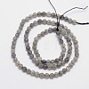 Faceted Round Natural Labradorite Bead Strands LS-G-I156-03-4mm-2