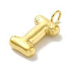 Ion Plating(IP) 304 Stainless Steel Pendants X-STAS-K263-47G-I-2