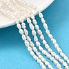 Natural Cultured Freshwater Pearl Beads Strands PEAR-I007-01M-01B-1