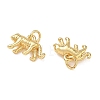 Brass Charms KK-D289-34C-G-2