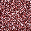 8/0 Glass Seed Beads SEED-S006-32-3