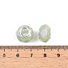 Imitation Jade Glass European Beads GPDL-N004-B14mm-A02-3