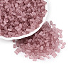 FGB Frosted Transparent Glass Seed Beads SEED-N013-05A-06-1