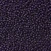 TOHO Round Seed Beads SEED-XTR08-0008DF-2