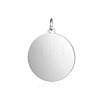 Anti-Tarnish 304 Stainless Steel Pendants STAS-I311-33G-P-1