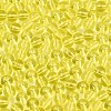 FGB Transparent Glass Seed Beads SEED-N013-01A-12-3