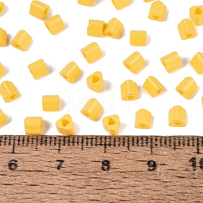 FGB Baking Paint Glass Seed Beads SEED-Q040-09A-09-1
