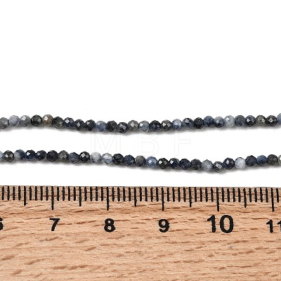 Natural Sapphire Beads Strands G-K366-C04-2mm-1