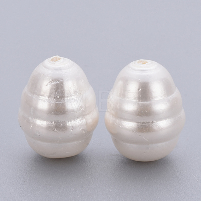 Spray Painted Shell Pearl Beads BSHE-Q031-13-1