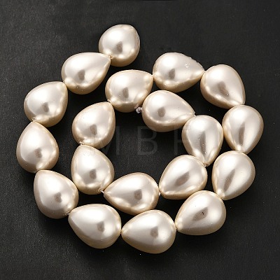 Electroplate Shell Pearl Beads Strands BSHE-G010-16x20mm-01-1