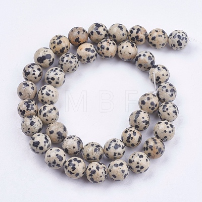 Natural Dalmatian Jasper Stone Bead Strands G-R193-14-10mm-1