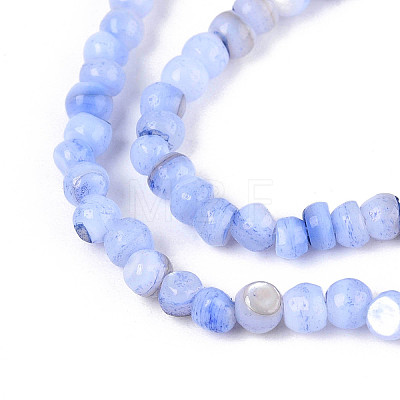 Natural Freshwater Shell Dyed Beads Strands SHEL-T020-29B-1