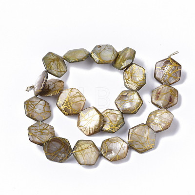 Drawbench Freshwater Shell Beads Strands SHEL-T014-013D-1