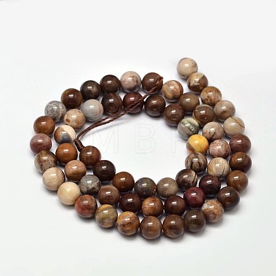 Natural Petrified Wood Round Bead Strands X-G-F266-08-6mm-1