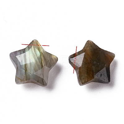 Natural Labradorite Charms X-G-H241-04C-1